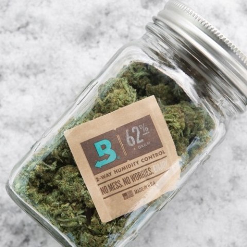 BOVEDA 62% Regulator wilgotności Nawilżacz na susz konopny CBD THC 2w1 8g