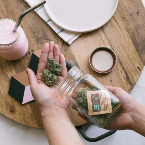 BOVEDA 62% Regulator wilgotności Nawilżacz na susz konopny CBD THC 2w1 8g