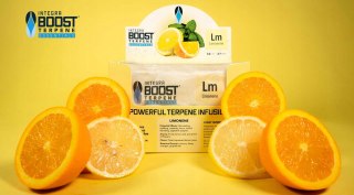 Regulator wilgotności na susz CBD THC Limonen Integra Boost 62% Limonene 4g